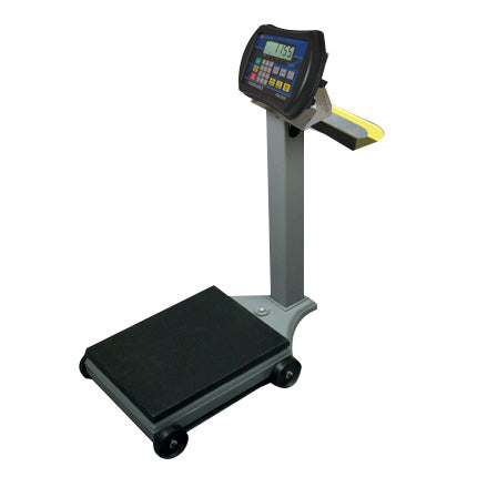 1155 PORTABLE UTILITY SCALE